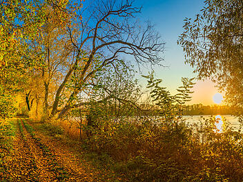 Bayerische Toskana, Amberg, Sulzbach, Wald