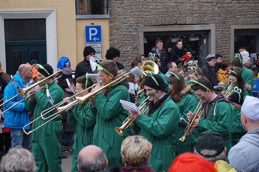 Landkreisfaschingszug 2015