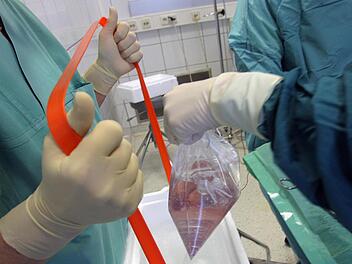 Mediziner halten einen Beutel mit einer Spenderniere.  Foto: dpa