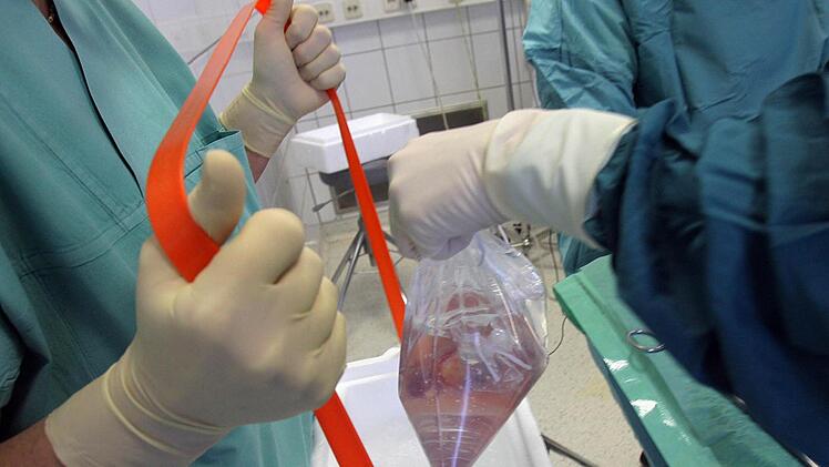 Mediziner halten einen Beutel mit einer Spenderniere.  Foto: dpa