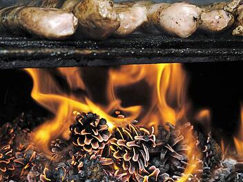 Das Braten über Kiefernzapfen oder auch Buchenholz verursacht erhöhte Benzo[a]pyren-Werte. Wie aber steht es, wenn beides nur beigemischt wird? Foto: David Ebener/dpa