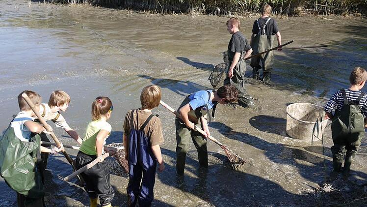 Dass das Abfischen nicht ganz einfach ist, erlebten die Nachwuchs-Fischer am eigenen Leib.  Fotos: Pauline Lindner