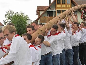 In Etzelskirchen stemmen seit Jahren die jungen Burschen aus dem Heimatverein ihre Fichte in die Senkrechte, wie hier im vergangenen Jahr. Foto: Sonja Werner