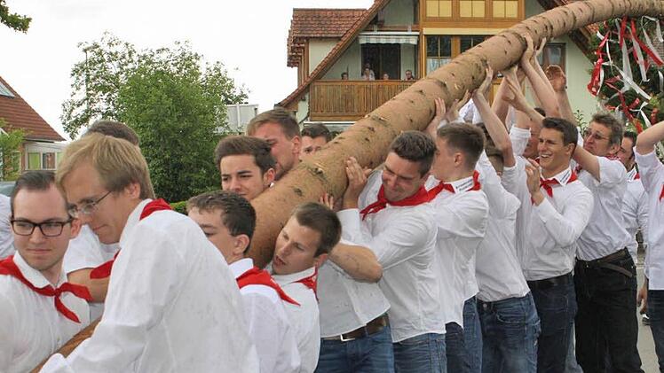 In Etzelskirchen stemmen seit Jahren die jungen Burschen aus dem Heimatverein ihre Fichte in die Senkrechte, wie hier im vergangenen Jahr. Foto: Sonja Werner