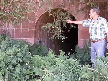 Ein besonderer Blickfang sind auf Zeitlofser Gebiet der "Strecke 46" die riesigen Wasserdurchlässe unter der nie vollendeten Autobahn. Das Gestrüpp kommt laut Bürgermeister Wilhelm Friedrich im Frühjahr weg, um die historische Bausubstanz zugänglich zu machen.  Foto: Rolf Pralle