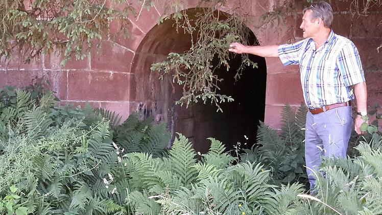 Ein besonderer Blickfang sind auf Zeitlofser Gebiet der "Strecke 46" die riesigen Wasserdurchlässe unter der nie vollendeten Autobahn. Das Gestrüpp kommt laut Bürgermeister Wilhelm Friedrich im Frühjahr weg, um die historische Bausubstanz zugänglich zu machen.  Foto: Rolf Pralle