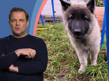 Martin Rütter ist skeptisch: Passt der aktive Hund zu seinem gesundheitlich eingeschränkten Frauchen?