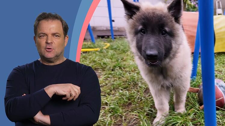 Martin Rütter ist skeptisch: Passt der aktive Hund zu seinem gesundheitlich eingeschränkten Frauchen?