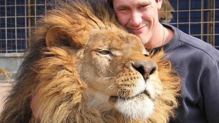 Heiko Olf ist der Trainer von Löwe Simba und verbringt viel Zeit mit dem Tier. Fotos: Carmen Schmitt