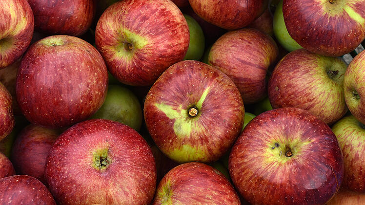 &Auml;pfel, Sorte Gew&uuml;rzluiken  von JRG