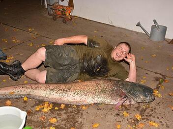 Angler Frank Haßfurter aus Ermershausen mit dem Riesenwaller. Foto: Gerhard Schmidt