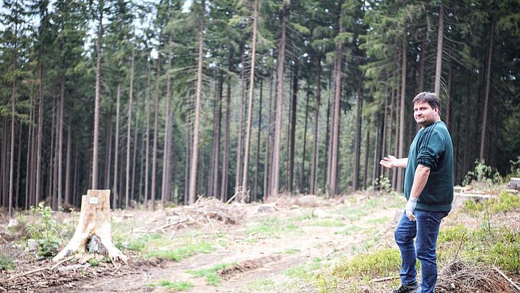 Matthias Vetter steht mitten in seinem Waldstück bei Steinbach am Wald - oder was davon übrig ist. Der Borkenkäfer verursacht den Kahlschlag. Foto: Bastian Sünkel