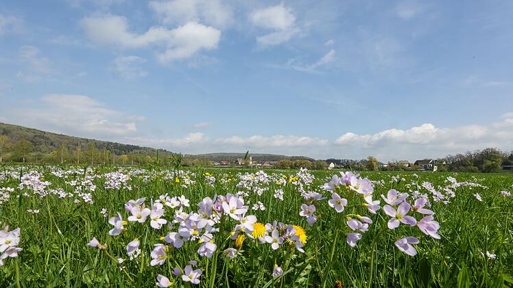 Wetter in Baden-W&uuml;rttemberg
