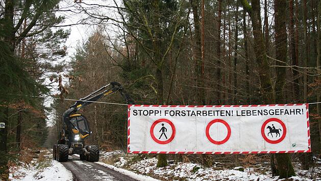 Der Harvester, die Holzerntemaschine, die derzeit in der Waldabteilung Reith bei Stangenroth im Einsatz. Foto: Gabriele Sell