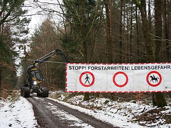 Der Harvester, die Holzerntemaschine, die derzeit in der Waldabteilung Reith bei Stangenroth im Einsatz. Foto: Gabriele Sell