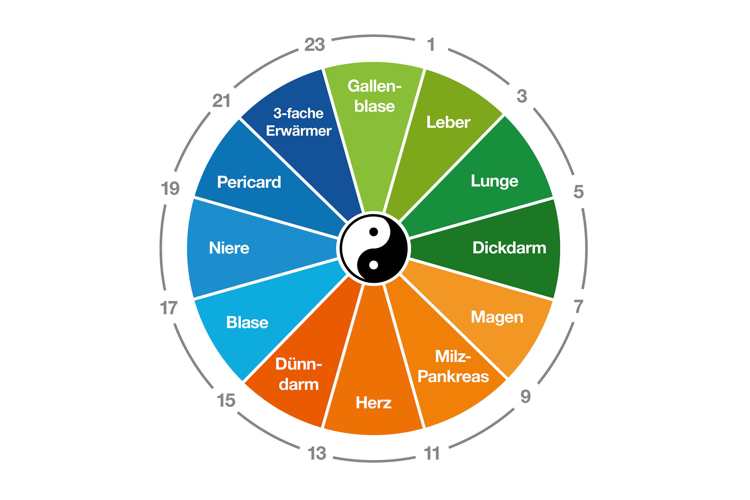 Chinesische Medizin Warum Das Leben Nach Der Organuhr Ein Inneres Chinesische Medizin Warum Das Leben Nach Der Organuhr Ein Inneres