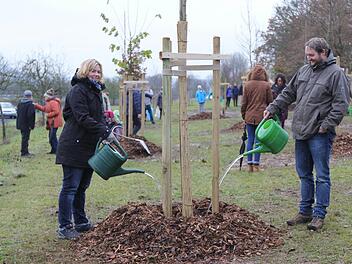 19 junge B&auml;ume wurden bei der Aktion gepflanzt. Foto: Maria Heckmann