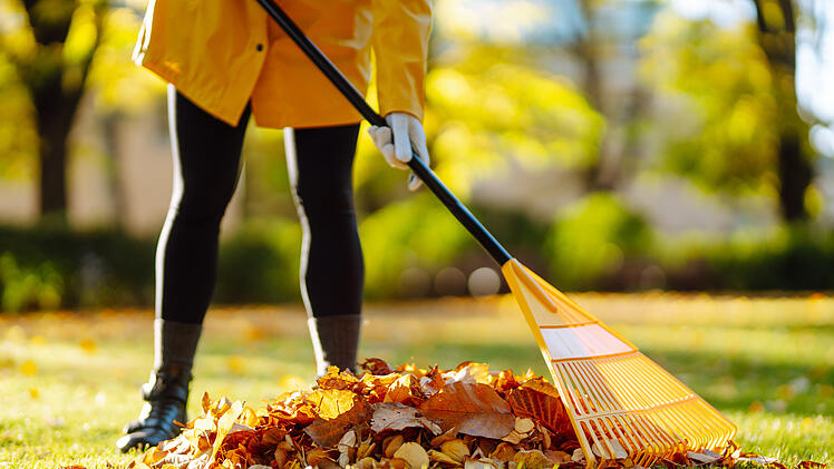 Laub, Herbst, Gartenarbeit
