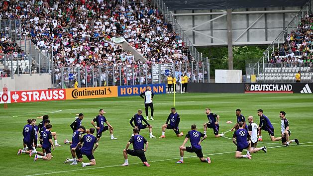 EM-Testspiel gegen die Ukraine: Ein Trio in N&uuml;rnberg im Fokus