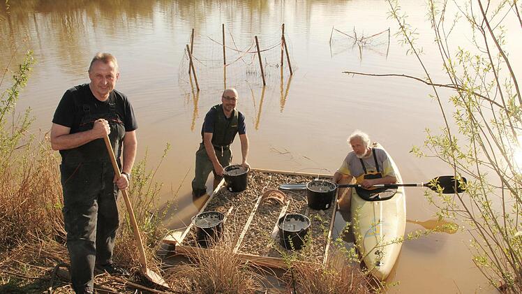 Die Mitglieder des Landesbunds für Vogelschutz Ralf Böhme, Volker Woitzik, Bernd Flieger und Jan Ebert (nicht im Bild) errichteten das Brutfloß am Ufer des Schlämmsees in Trieb. Foto: Jan Ebert