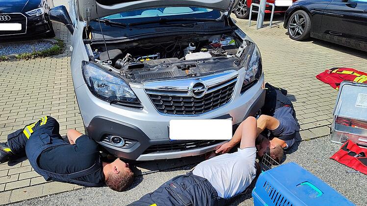 Feuerwehr Landshut rettet Katze aus Auto