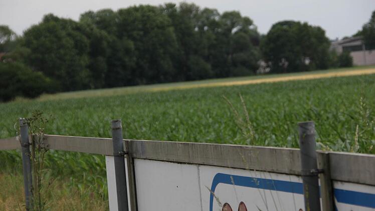 Der Sportplatz ist jetzt ein Maisfeld. Foto: Marco Meißner