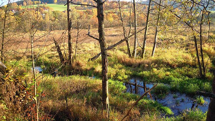 Schwemmland vom aufgeschütteten Untergrund für die zukünftigen Plattform aus. Foto: Julia Raab