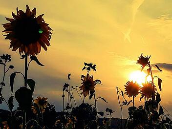 Langsam geht der Sommer zu Ende, schreibt unser inFrankenPix-Nutzer Matze H&ouml;sch als Bildtext unter dieses Foto in unserer Bilder-App f&uuml;r Franken. Doch das erste Herbstwochenende bleibt sch&ouml;n bei knapp &uuml;ber 20 Grad. Foto: inFrankenPix-Nutzer Matze H&ouml;sch
