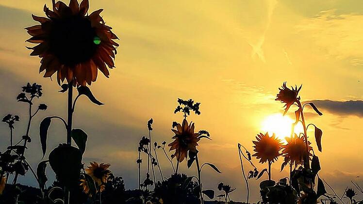 Langsam geht der Sommer zu Ende, schreibt unser inFrankenPix-Nutzer Matze H&ouml;sch als Bildtext unter dieses Foto in unserer Bilder-App f&uuml;r Franken. Doch das erste Herbstwochenende bleibt sch&ouml;n bei knapp &uuml;ber 20 Grad. Foto: inFrankenPix-Nutzer Matze H&ouml;sch