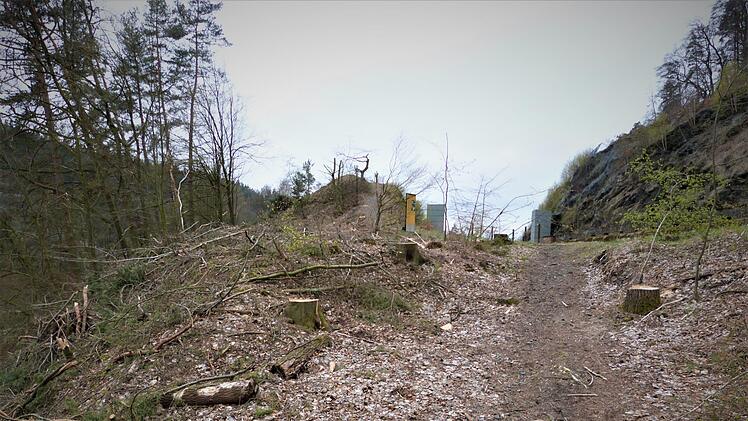 Die Folgen der Abholzaktion sind noch überall zu sehen. Foto: Werner Reißaus