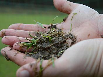 Äußerlich scheinen die Rasenplätze bereits fit. Doch beim genaueren Blick präsentieren sich Gras und Boden eher formschwach. Foto: Jürgen Schmitt