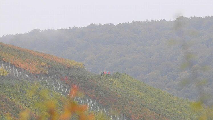 Unterwegs in den Weinbergen.