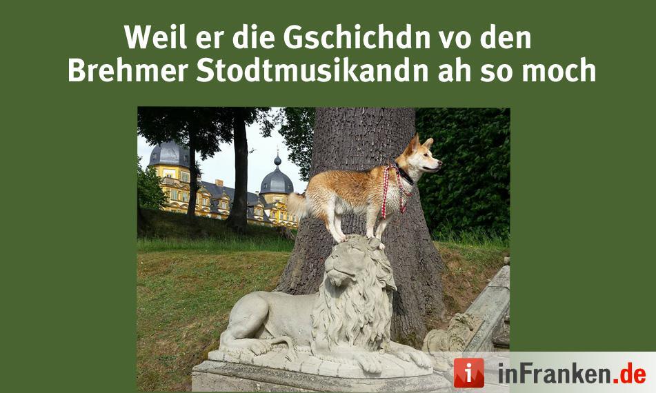 Foto: Julia Schütz