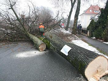 Binnen weniger Stunden war der Stadtratsbeschluss vom Montag umgesetzt. Fotos: Klaus-Peter Wulf und Sonja Adam