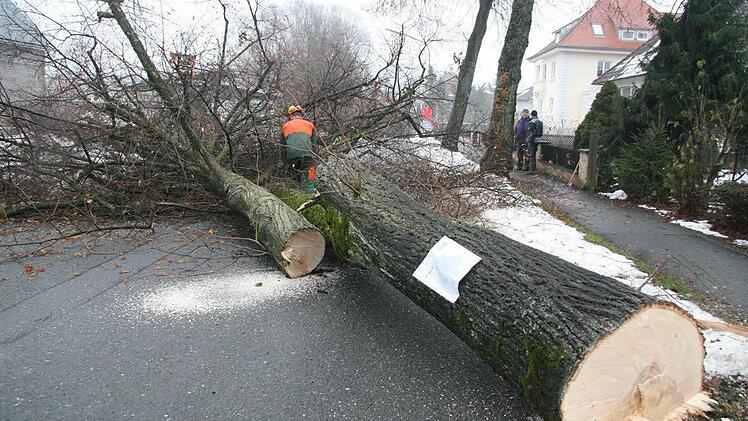Binnen weniger Stunden war der Stadtratsbeschluss vom Montag umgesetzt. Fotos: Klaus-Peter Wulf und Sonja Adam