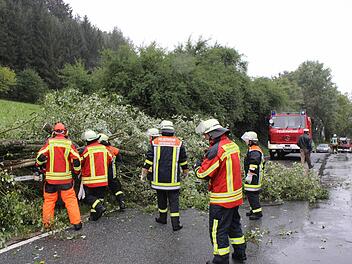 Die Feuerwehrleute machen Kleinholz aus den umgestürzten Baum. Foto: fra-press