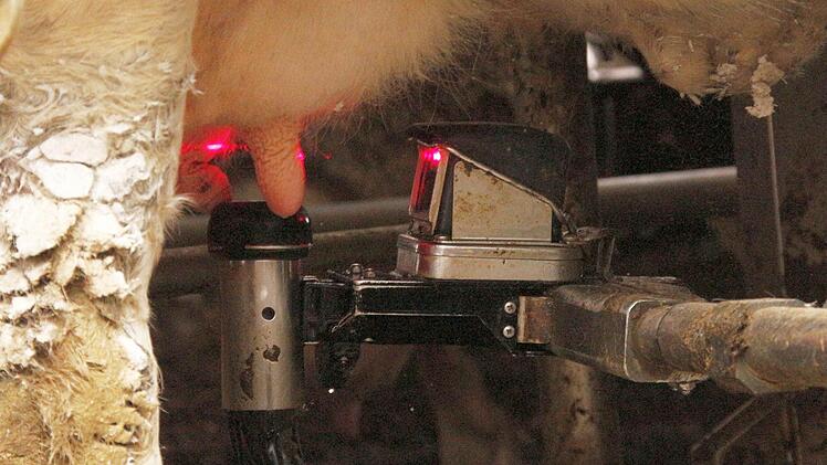 Dieses Kalb ist erst wenige Tage alt. Foto: Josef Hofbauer