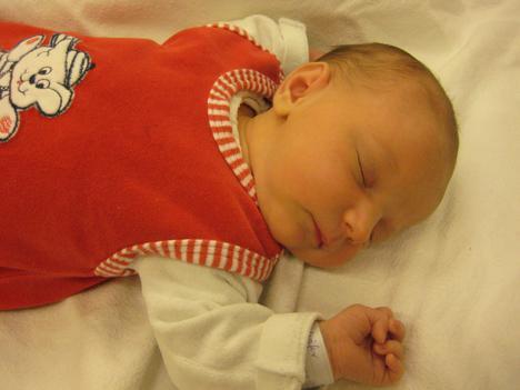 Babygalerie 96