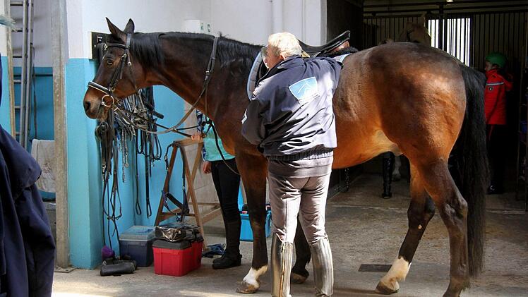 Den schweren Sattel legt Roland Staudenmaier auf.