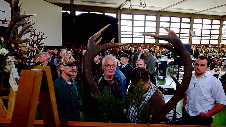 Besucher der Hegeschau in Thulba betrachten Geweihe. Foto: Gerd Schaar