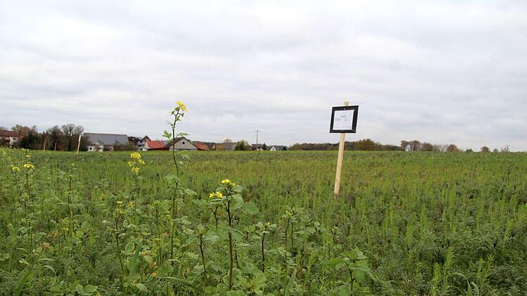 Eindrücke von der Info-Veranstaltung   Richard Sänger