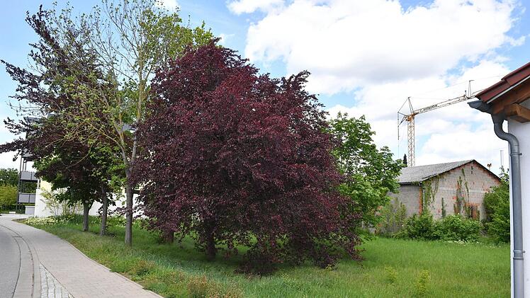 Die Fläche in der Steinlachenstraße  (Bild) ist eine von dreien, welche die Stadt verkauft.Ronald Rinklef