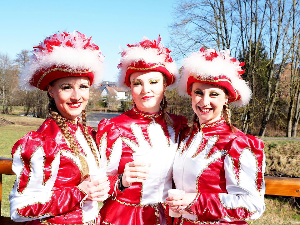 Buntes Faschingstreiben in Unterfranken!