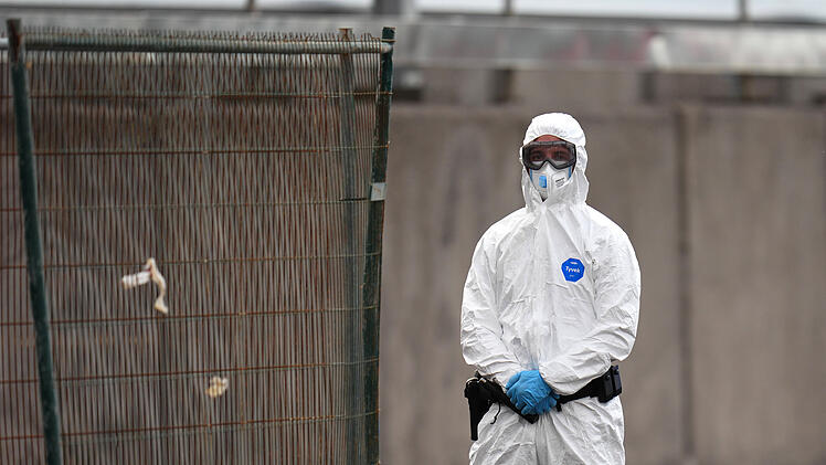 Drei Tote nach Hantavirus-Ausbruch auf Kreuzfahrtschiff
