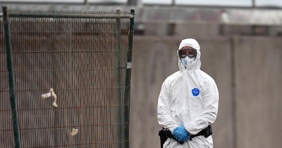 Munich: New hantavirus contact person admitted to hospital