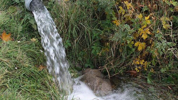 Das ideale Trinkwasser soll nicht zu hart, nicht zu sulfathaltig sein und ausreichend fließen.  Foto: G. Bauer