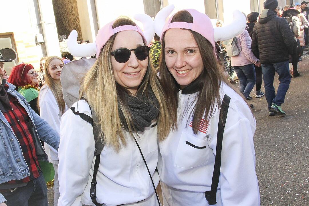 Fasching 2025 in Stadtsteinach!