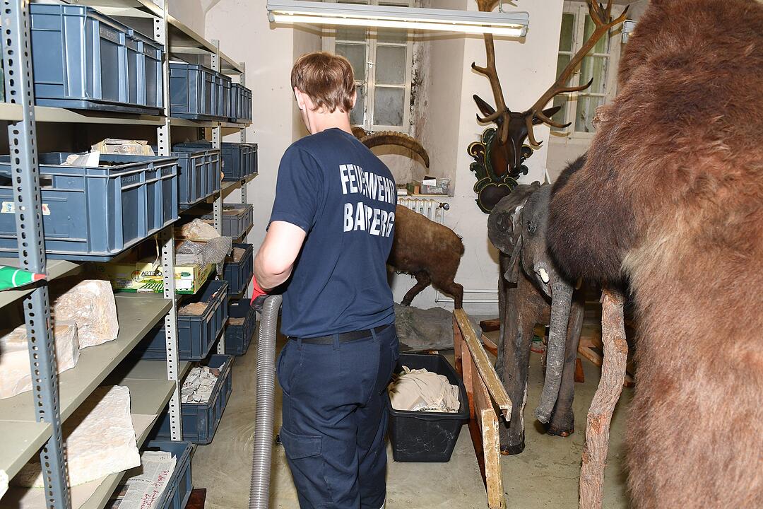 Wasserrohrbruch im Naturkundemuseum