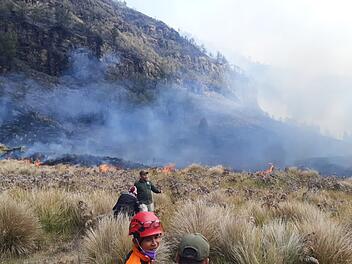 Waldbr&auml;nde in Indonesien