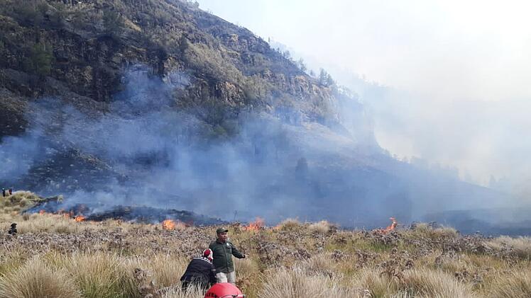 Waldbr&auml;nde in Indonesien
